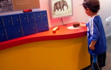 Using the interactive