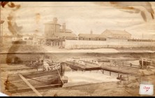 Woodhall Life Detailed Image