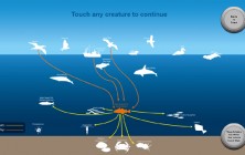Food web interactive exhibit