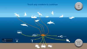 food web
