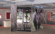 Marwell Zoo exhibits